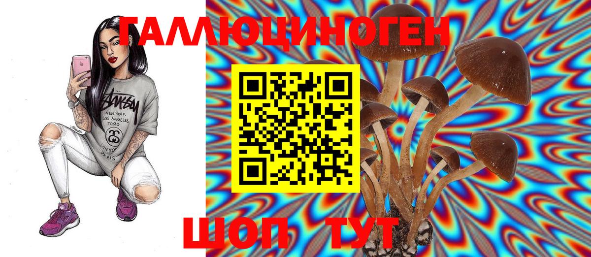 Галлюциногенные грибы Psilocybine cubensis  купить закладку  Крымск  Вход с VPN  Галлюциногенные грибы Psilocybine cubensis 
